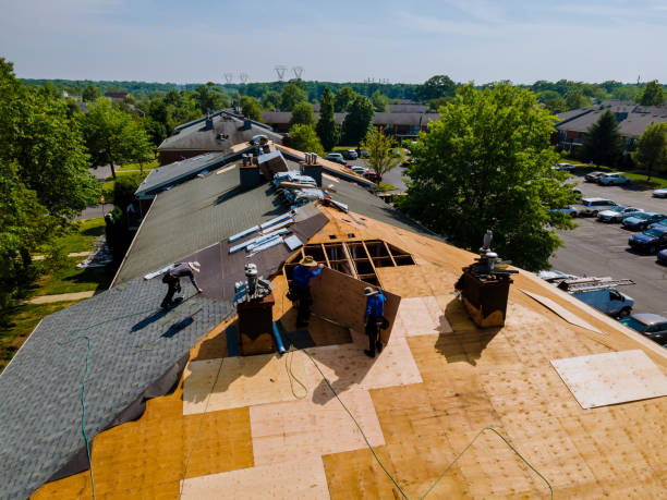 Roof Gutter Cleaning in Jena, LA