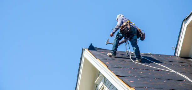Best Roof Maintenance Services  in Jena, LA